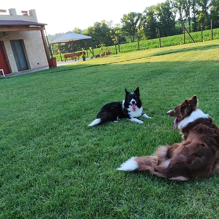 Apartamento Casa Montefiore 13 Iris Lt Nella Tranquilla Campagna Marchigiana Ancona