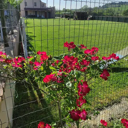 Casa Montefiore 13 Iris Lt Nella Tranquilla Campagna Marchigiana * アンコーナ